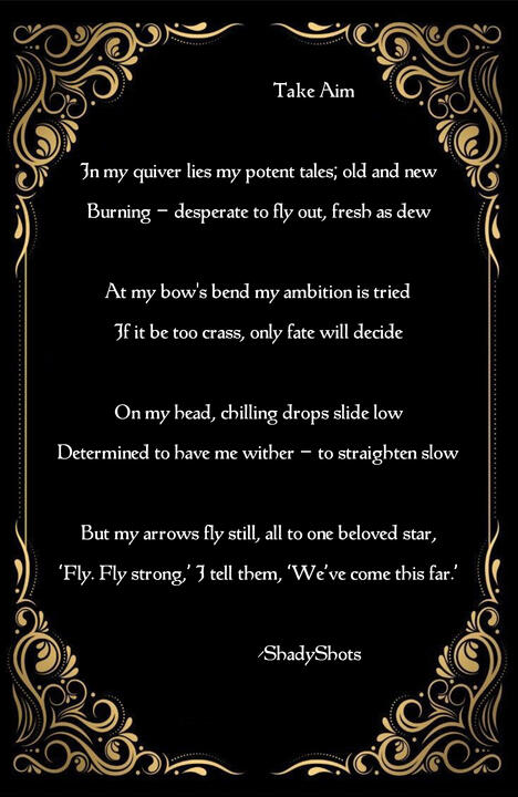 Take Aim